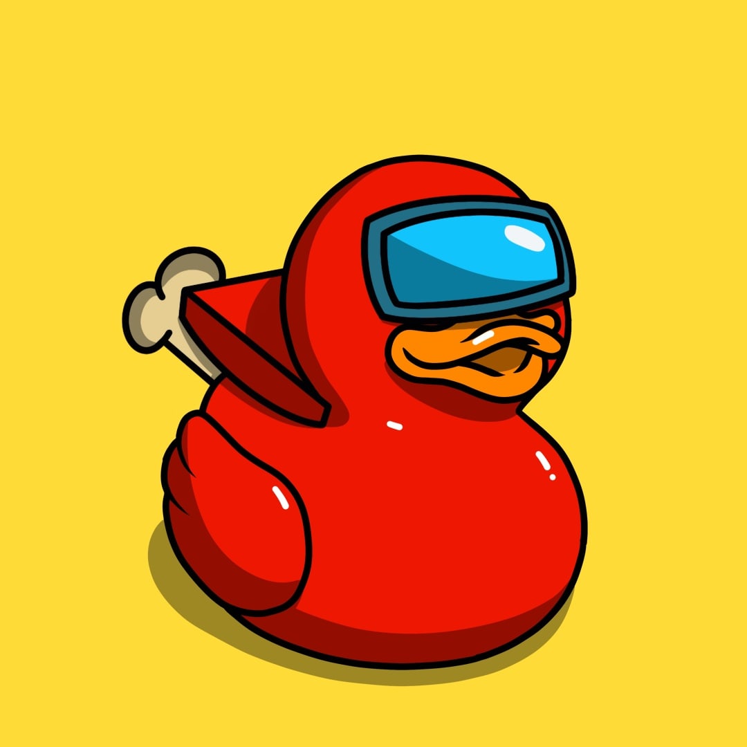 Rubber Duckz #6