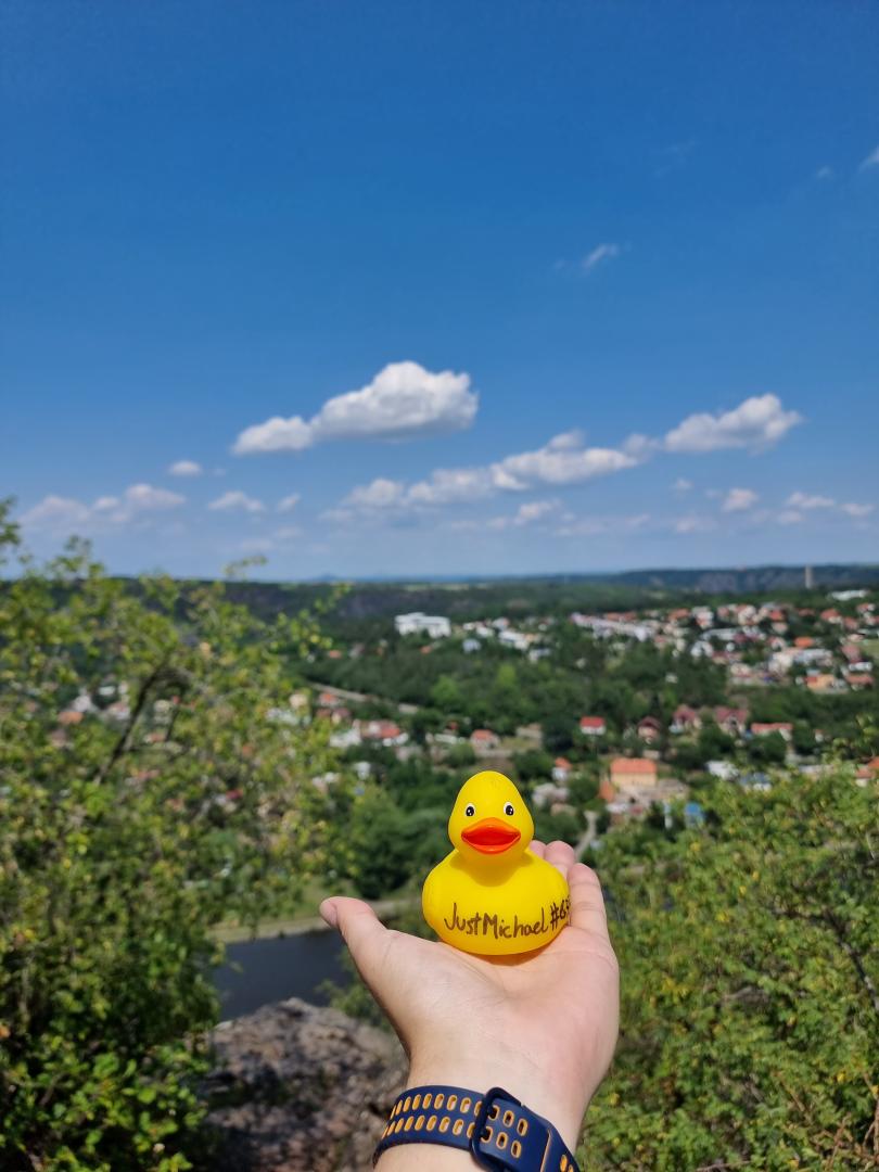 A yellow duck and a big view