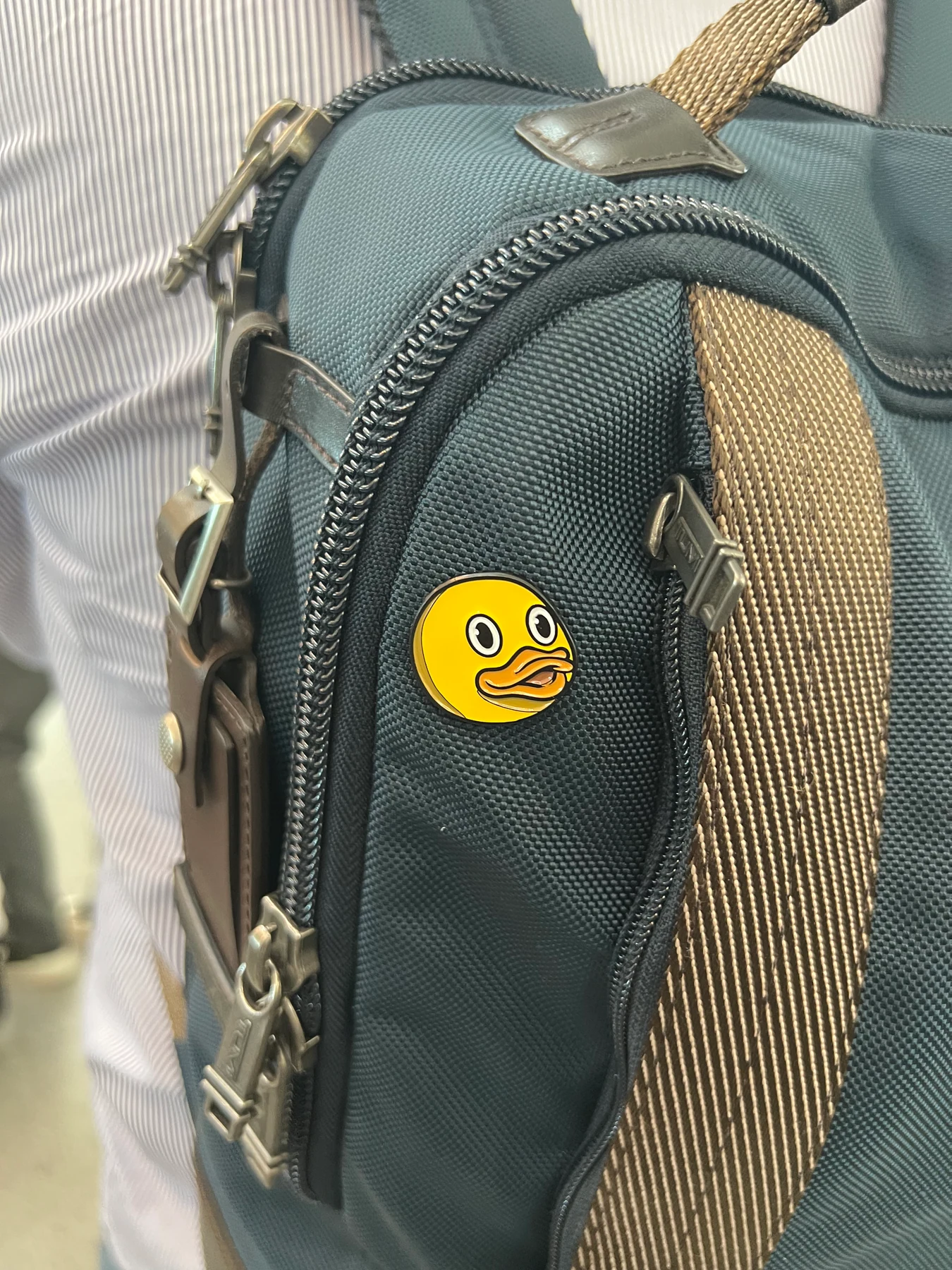 A little Duck on the go