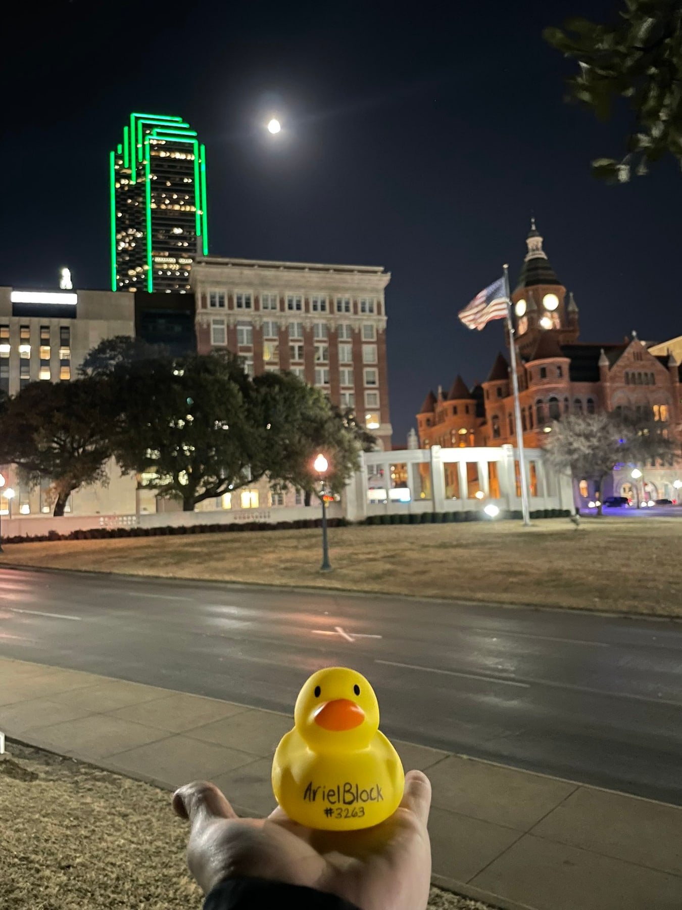 A Duck after dark