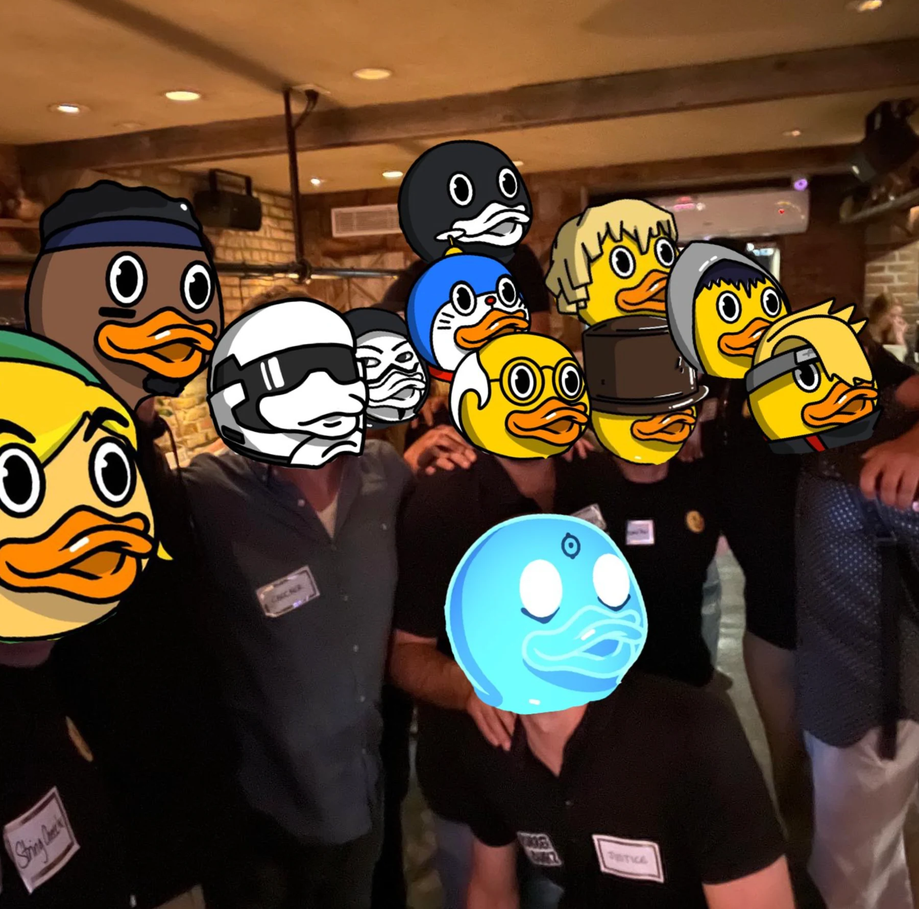 The flock, together