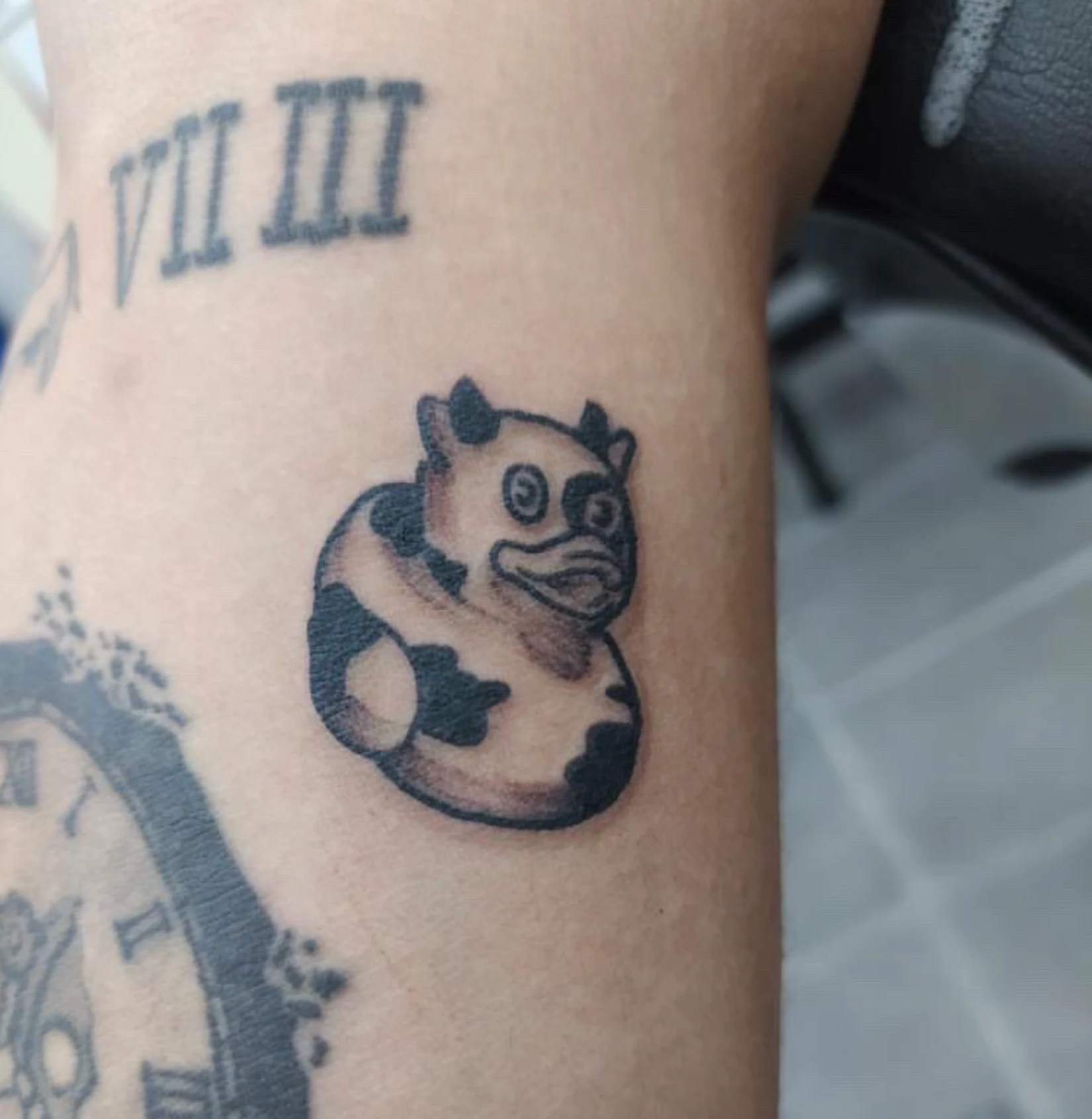 A Duck to keep forever