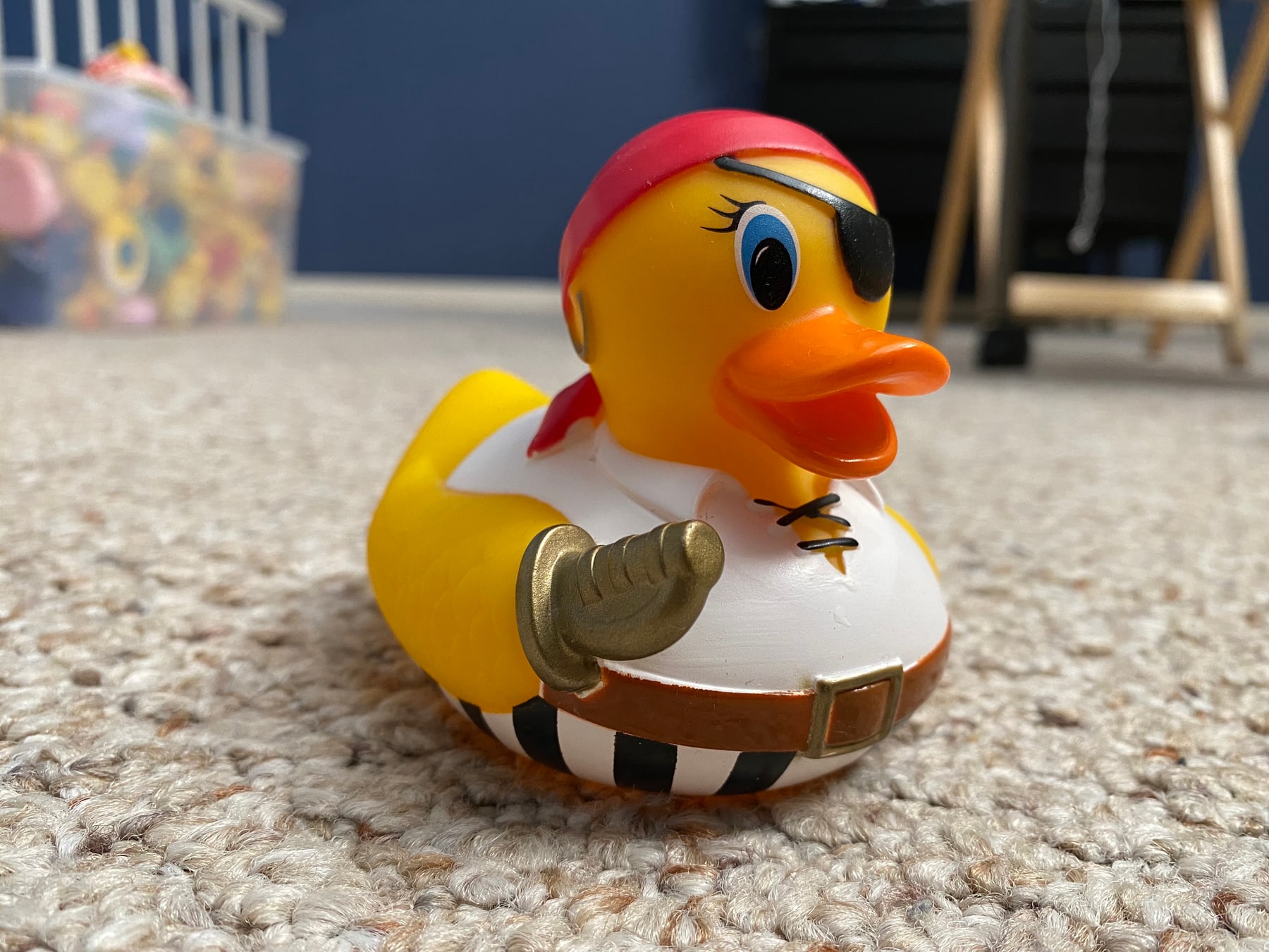 Physical duck · Pirate  Duck